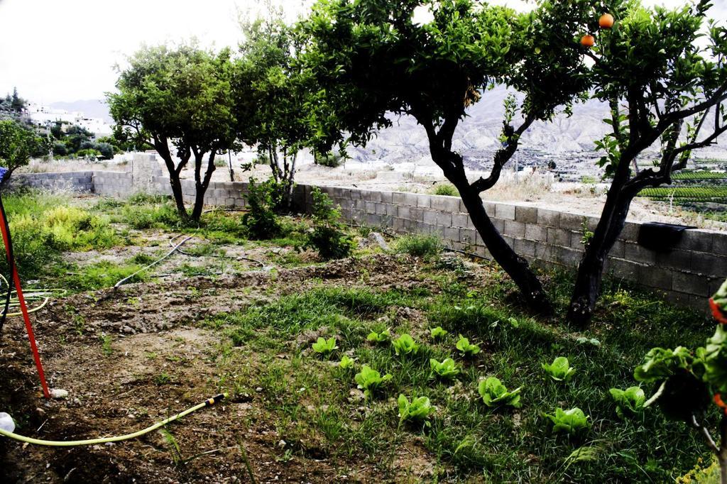 Hotel Rural Halal La Kabila Roquetas de Mar Exteriör bild