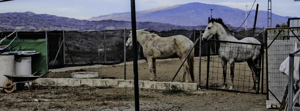 Hotel Rural Halal La Kabila Roquetas de Mar Exteriör bild